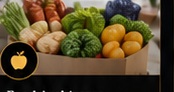 Food assistance and produce resources